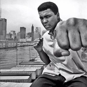 Meet your Posher, Alfred